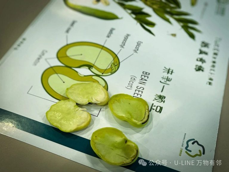 201_压缩后